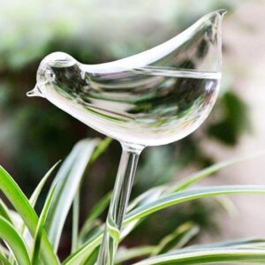 Planten Waterdruppelaar - set van 2